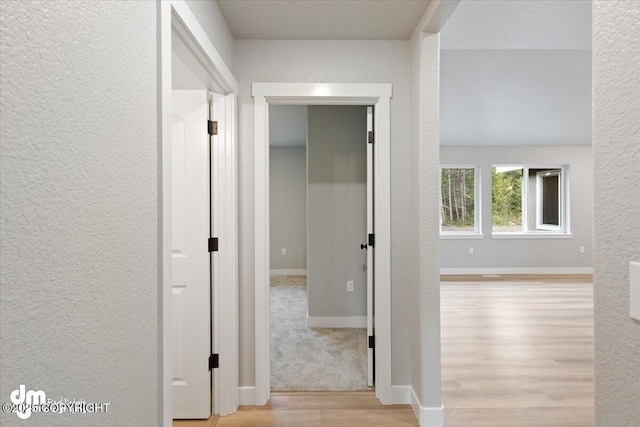 hallway featuring light hardwood / wood-style floors