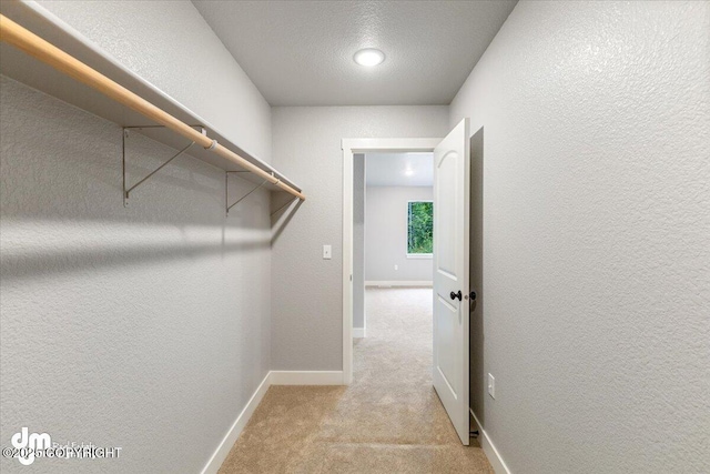 walk in closet with light colored carpet