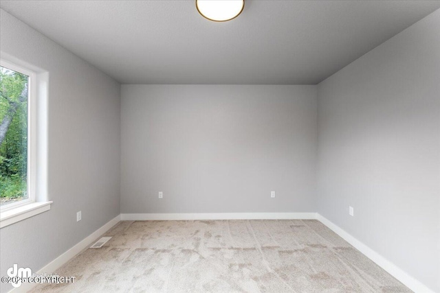 empty room with light colored carpet and a wealth of natural light