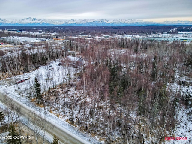 7310 W Golden Dr, Wasilla AK, 99654 land for sale