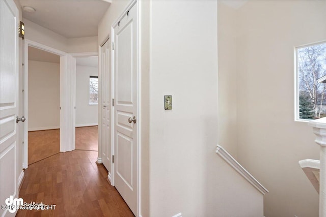 hall featuring wood-type flooring