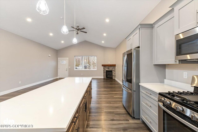 kitchen featuring dark wood-type flooring, stainless steel appliances, a fireplace, and vaulted ceiling