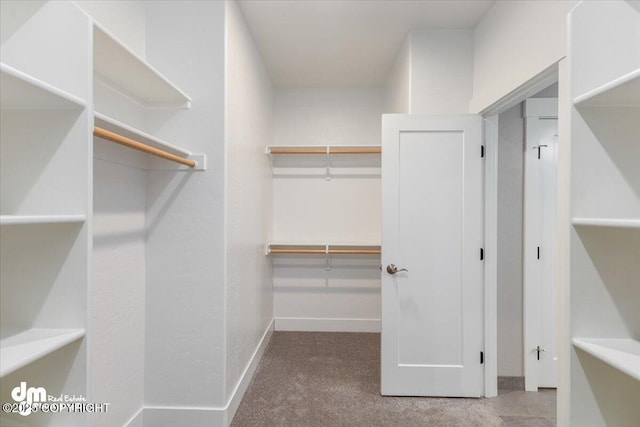 walk in closet with carpet