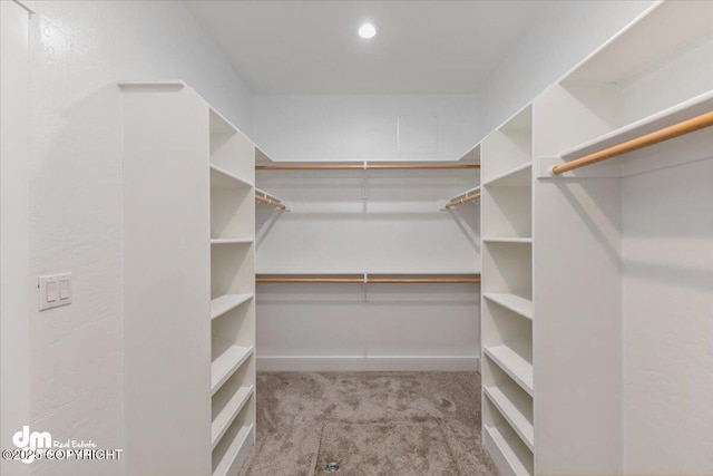 walk in closet featuring light carpet