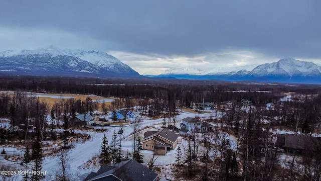 snowy aerial view featuring a mountain view