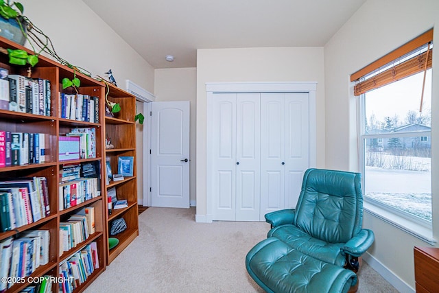 sitting room with light carpet