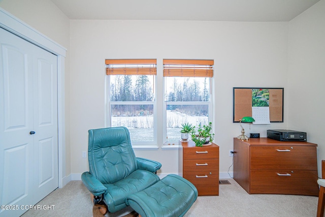 living area featuring light colored carpet and a wealth of natural light