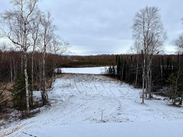 view of snowy yard