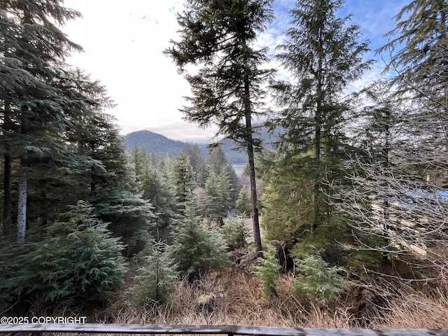 view of nature with a mountain view