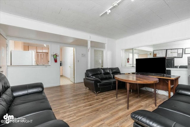 living room featuring light hardwood / wood-style flooring and rail lighting