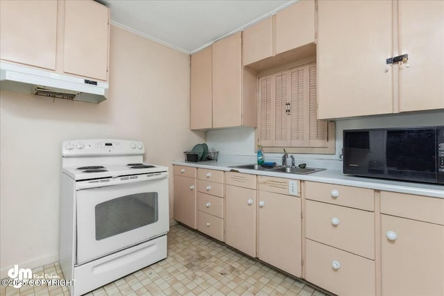 kitchen with white electric stove, ornamental molding, and sink