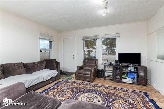 living room featuring a wealth of natural light and light hardwood / wood-style flooring