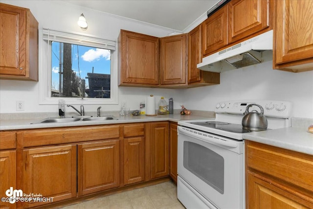 kitchen featuring sink, electric range, and ornamental molding