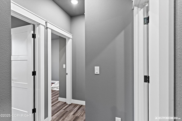 corridor featuring hardwood / wood-style floors and a barn door