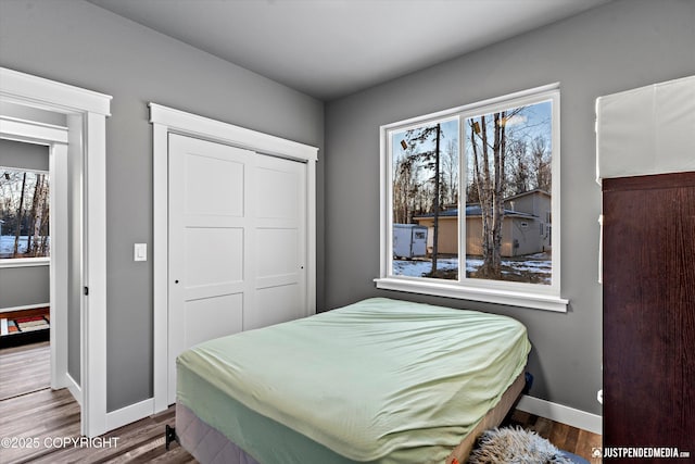 bedroom featuring a closet and hardwood / wood-style flooring