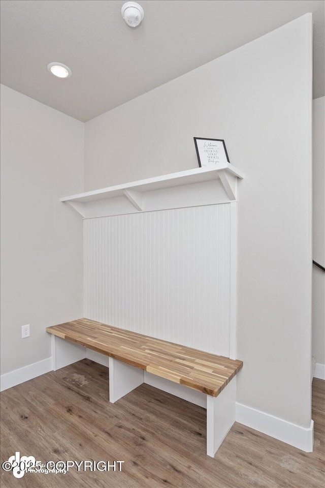 mudroom featuring wood-type flooring