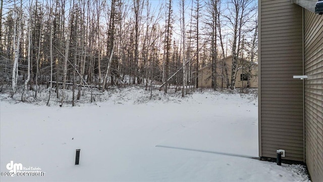 view of yard covered in snow