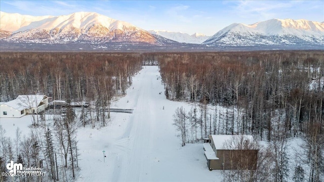 property view of mountains