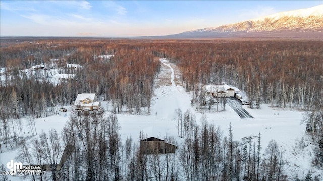 snowy aerial view featuring a mountain view