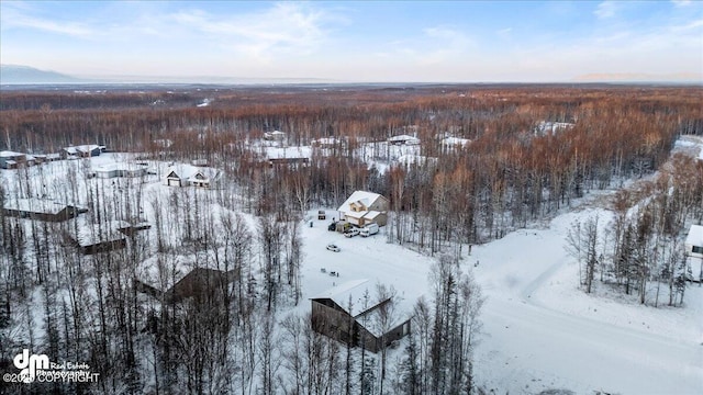 snowy aerial view with a mountain view