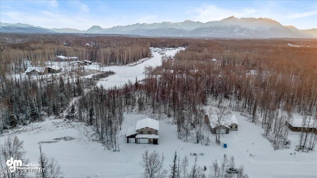 snowy aerial view featuring a mountain view