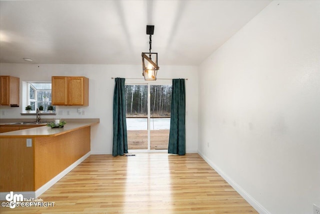 kitchen featuring sink, a wealth of natural light, hanging light fixtures, and light hardwood / wood-style flooring