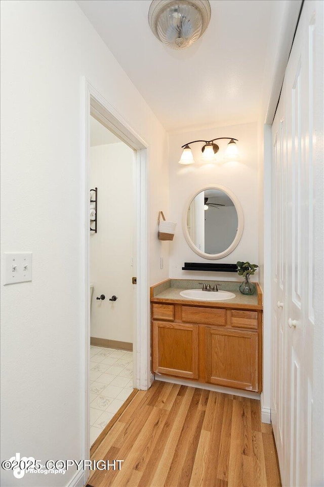 bathroom with hardwood / wood-style flooring and vanity