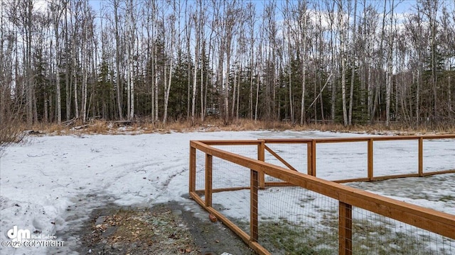 view of yard covered in snow