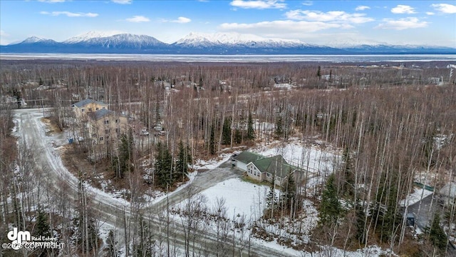 snowy aerial view featuring a mountain view