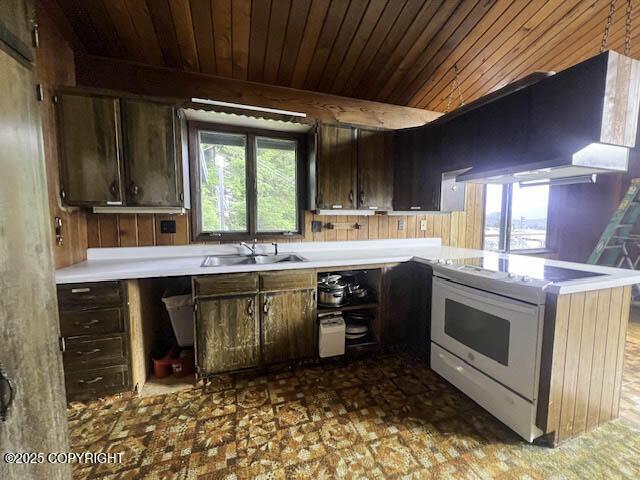 kitchen featuring dark brown cabinetry, wood ceiling, sink, plenty of natural light, and stove