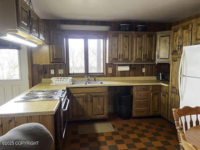 kitchen with white refrigerator, stainless steel electric range oven, and sink