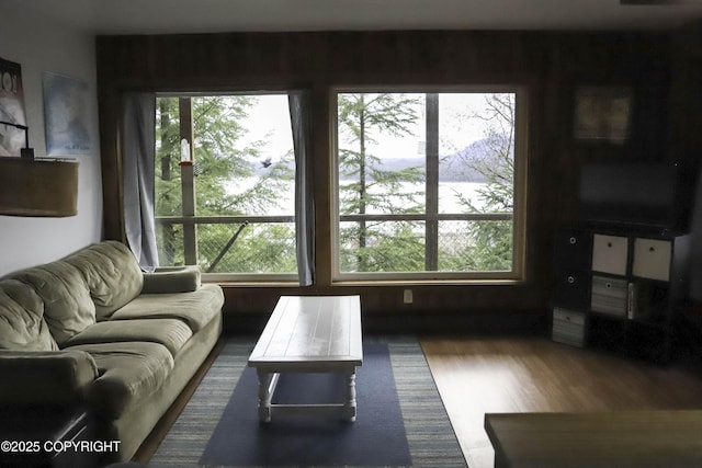 living room featuring a healthy amount of sunlight and dark hardwood / wood-style flooring