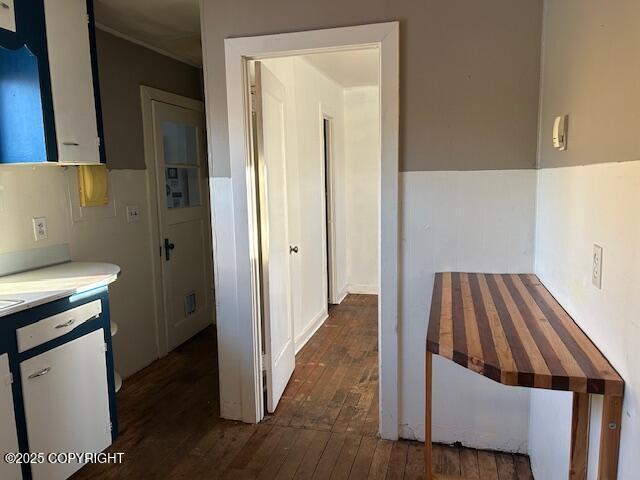 kitchen with white cabinetry and dark wood-type flooring