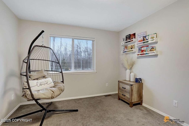 sitting room with carpet flooring