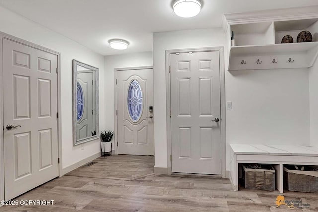 entrance foyer featuring light wood-type flooring