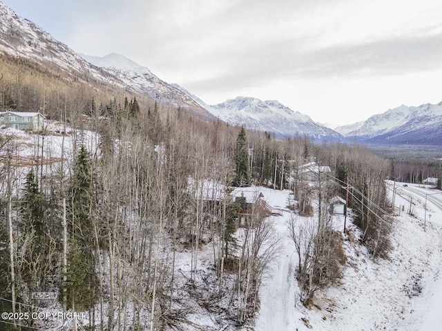 property view of mountains