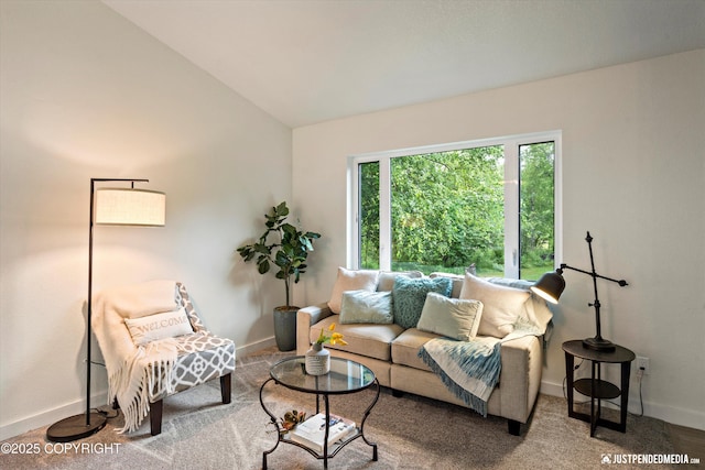 living room with vaulted ceiling