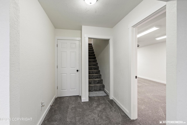 stairway featuring a textured ceiling and carpet