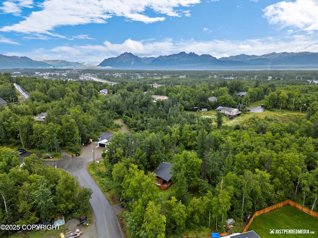 bird's eye view featuring a mountain view