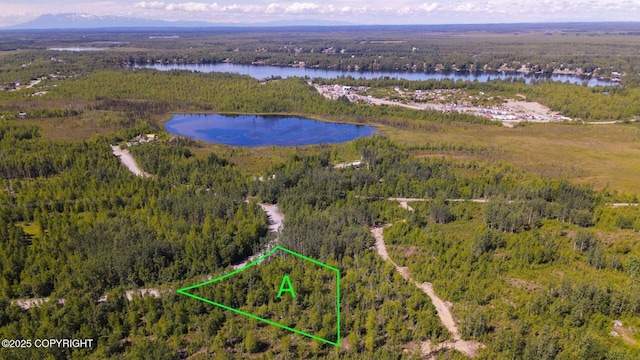 533 S Old Toby Rd, Wasilla AK, 99623 land for sale