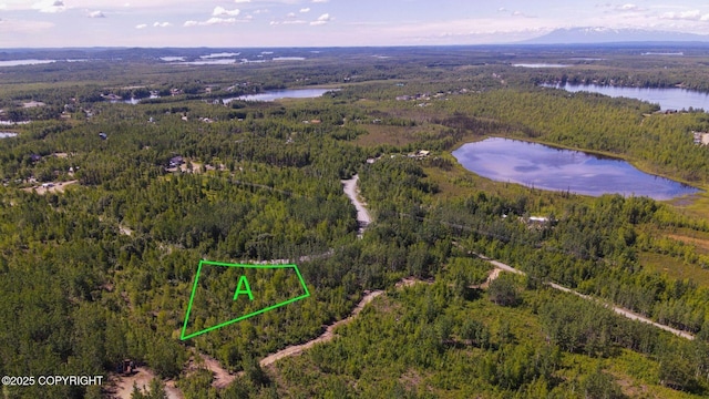 Listing photo 2 for 533 S Old Toby Rd, Wasilla AK 99623