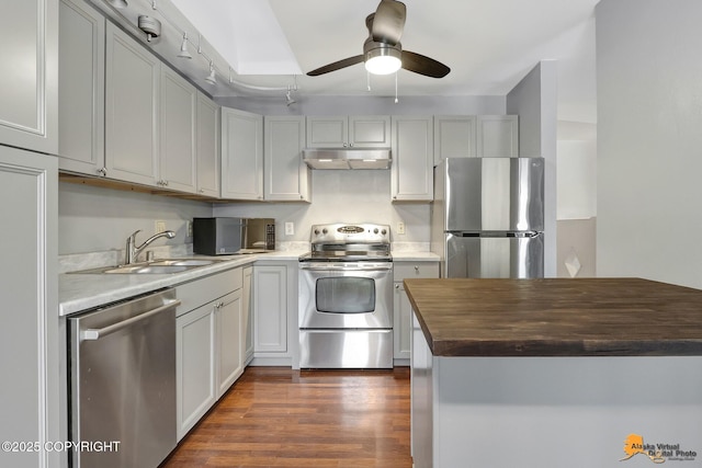 kitchen with appliances with stainless steel finishes, butcher block countertops, sink, ceiling fan, and dark wood-type flooring