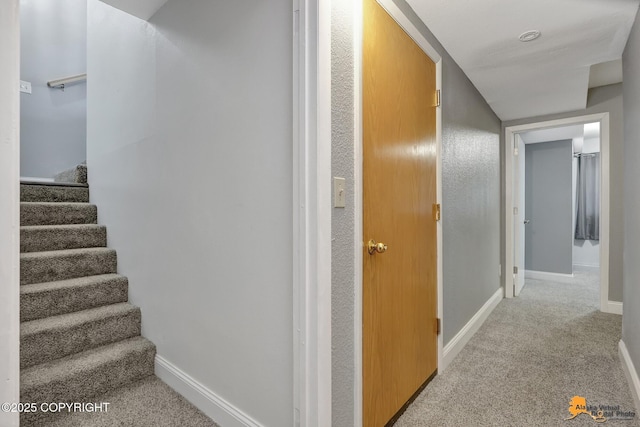 hallway with carpet floors