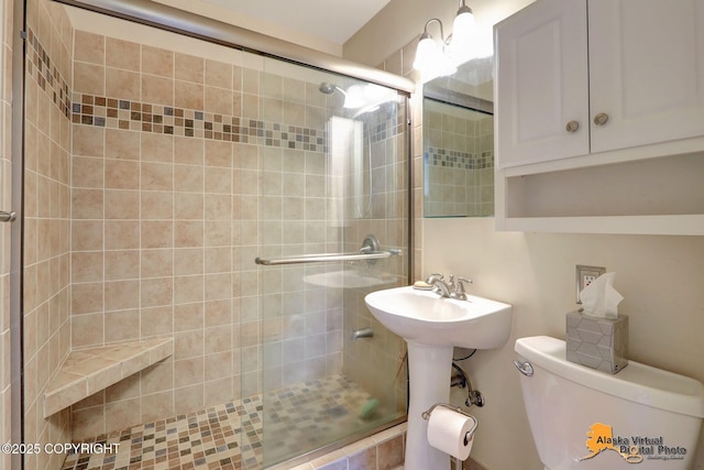 full bathroom with a shower stall, toilet, and a sink