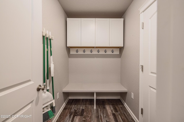 mudroom featuring dark hardwood / wood-style flooring