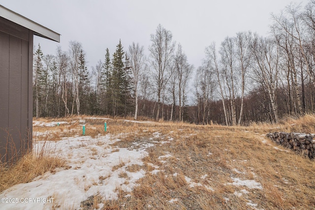 view of local wilderness