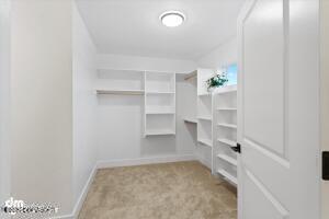 walk in closet featuring light colored carpet