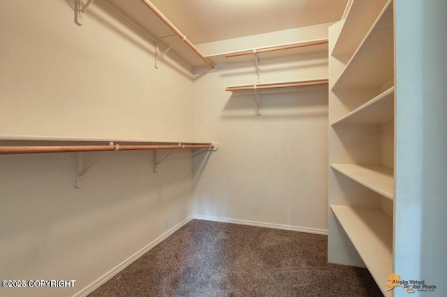 spacious closet with dark carpet