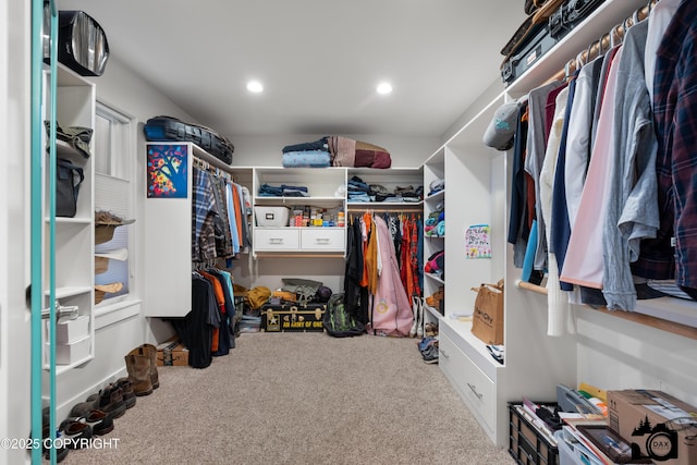 walk in closet featuring carpet floors