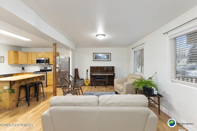 living room featuring light hardwood / wood-style flooring